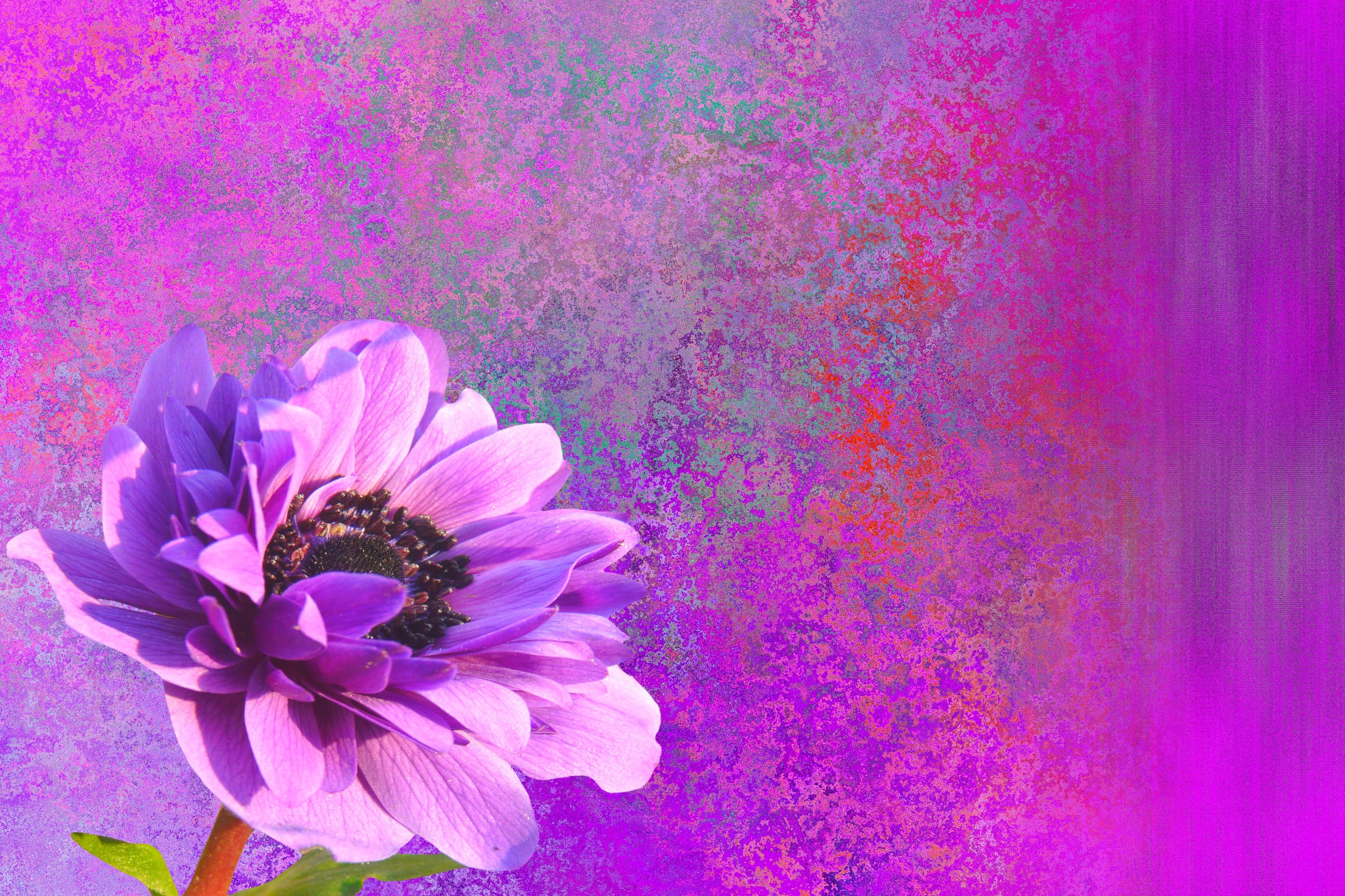 Вечерний чай
