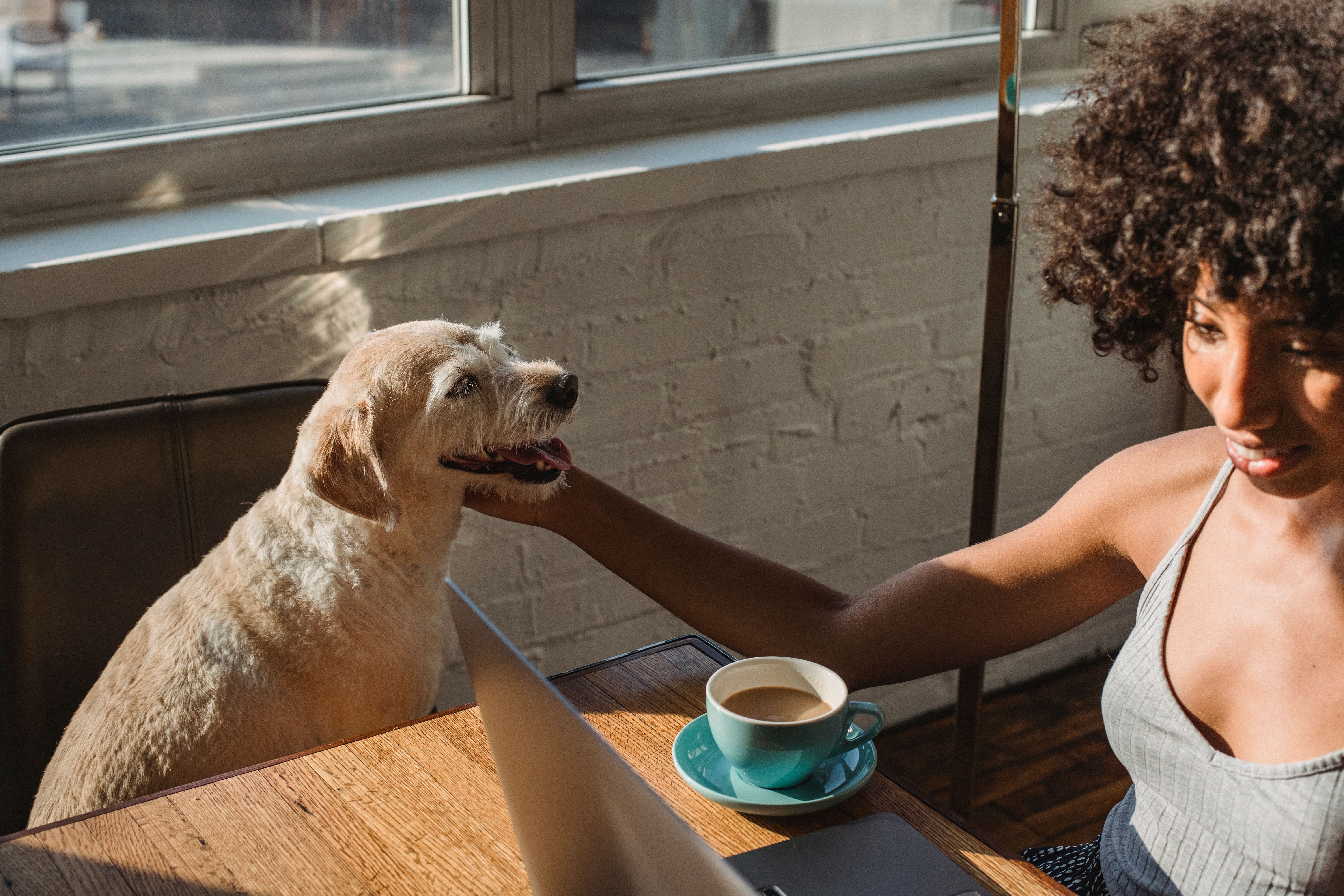 Поздний вечер